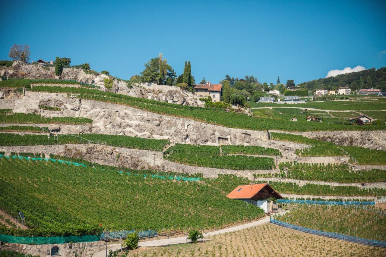Auberge De Rivaz المظهر الخارجي الصورة